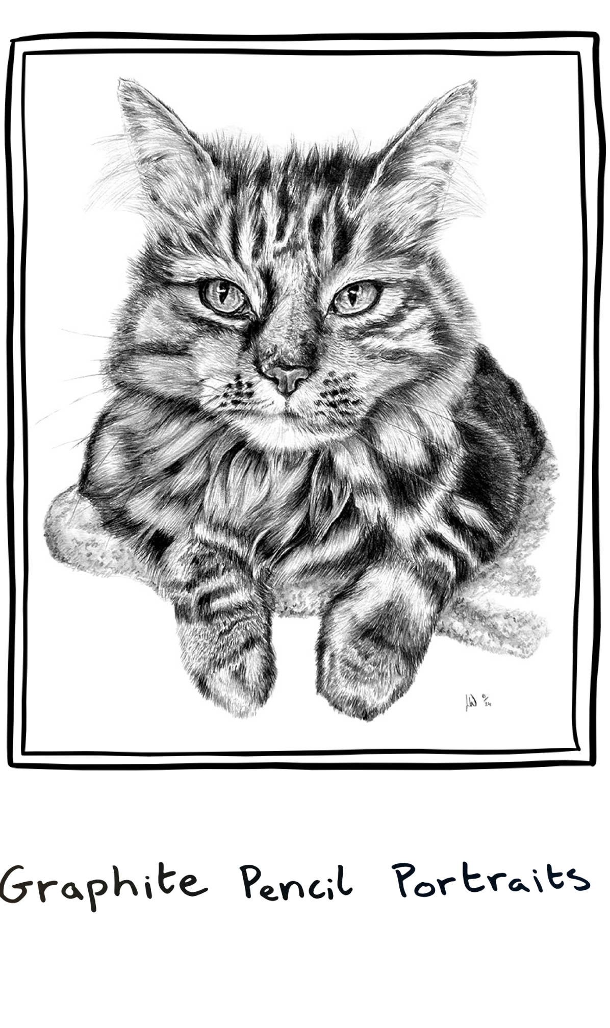 Graphite pencil portrait example