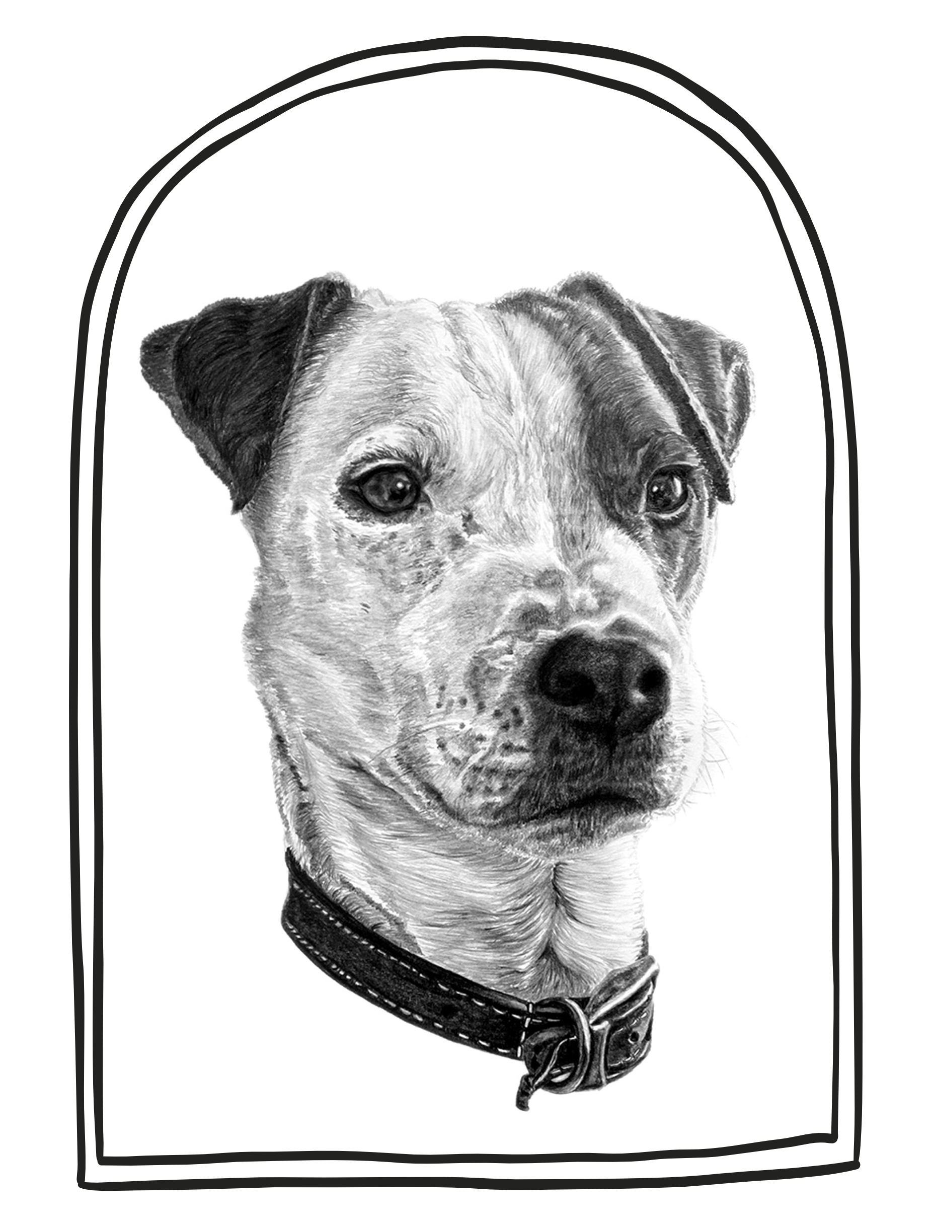 Portrait of Stan