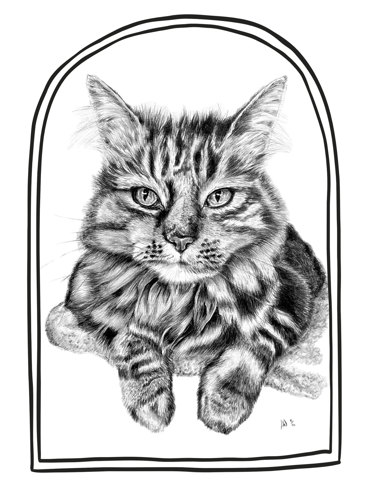 Portrait of Cat