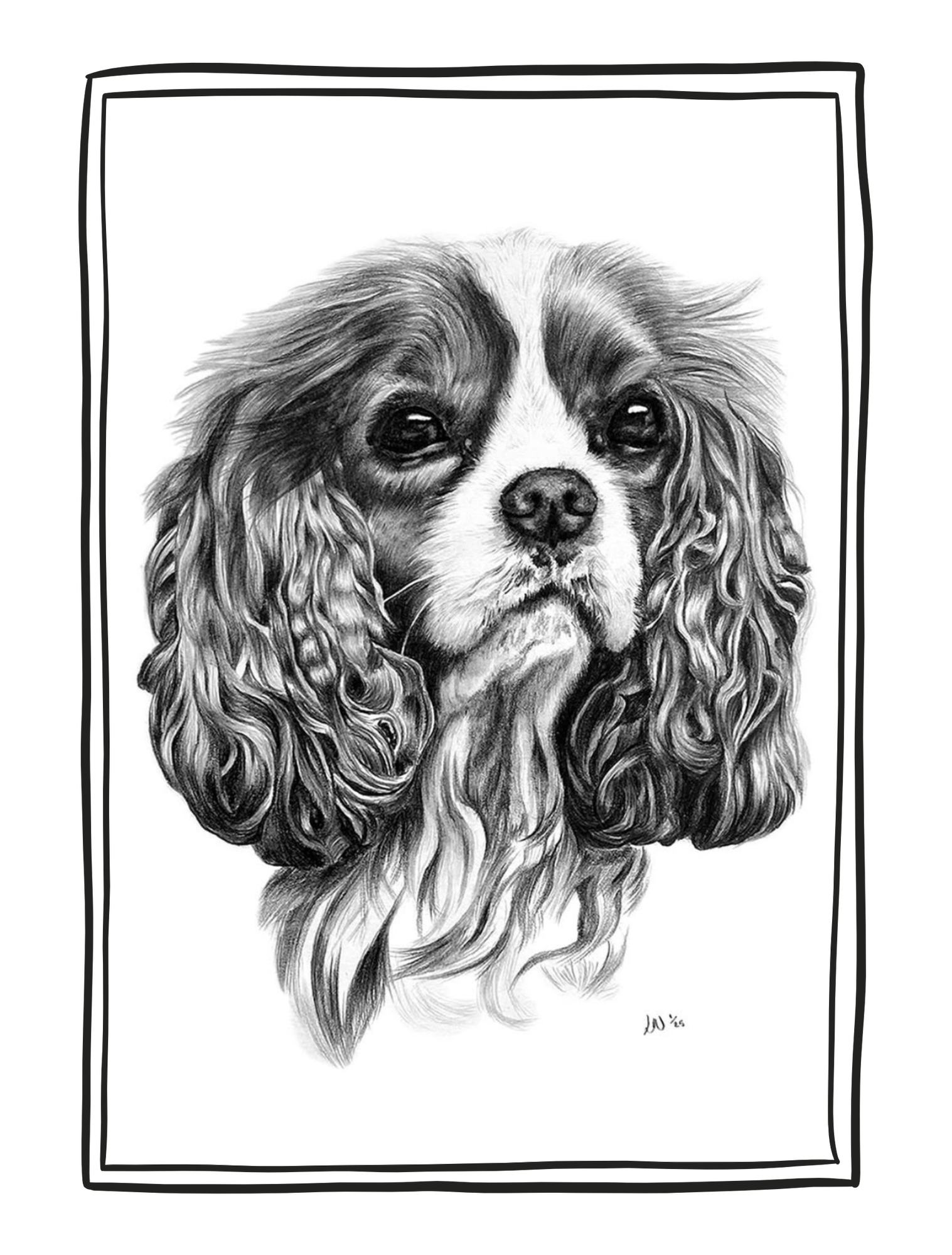 Portrait of Cavalier